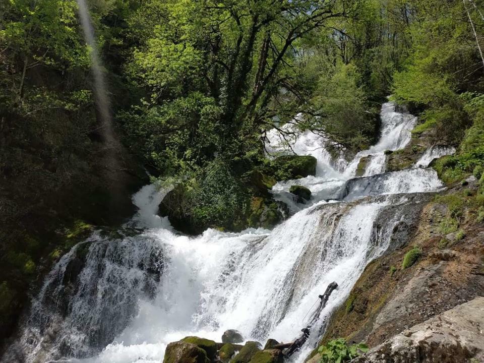 Sibirjak Ckaltubo Kültér fotó